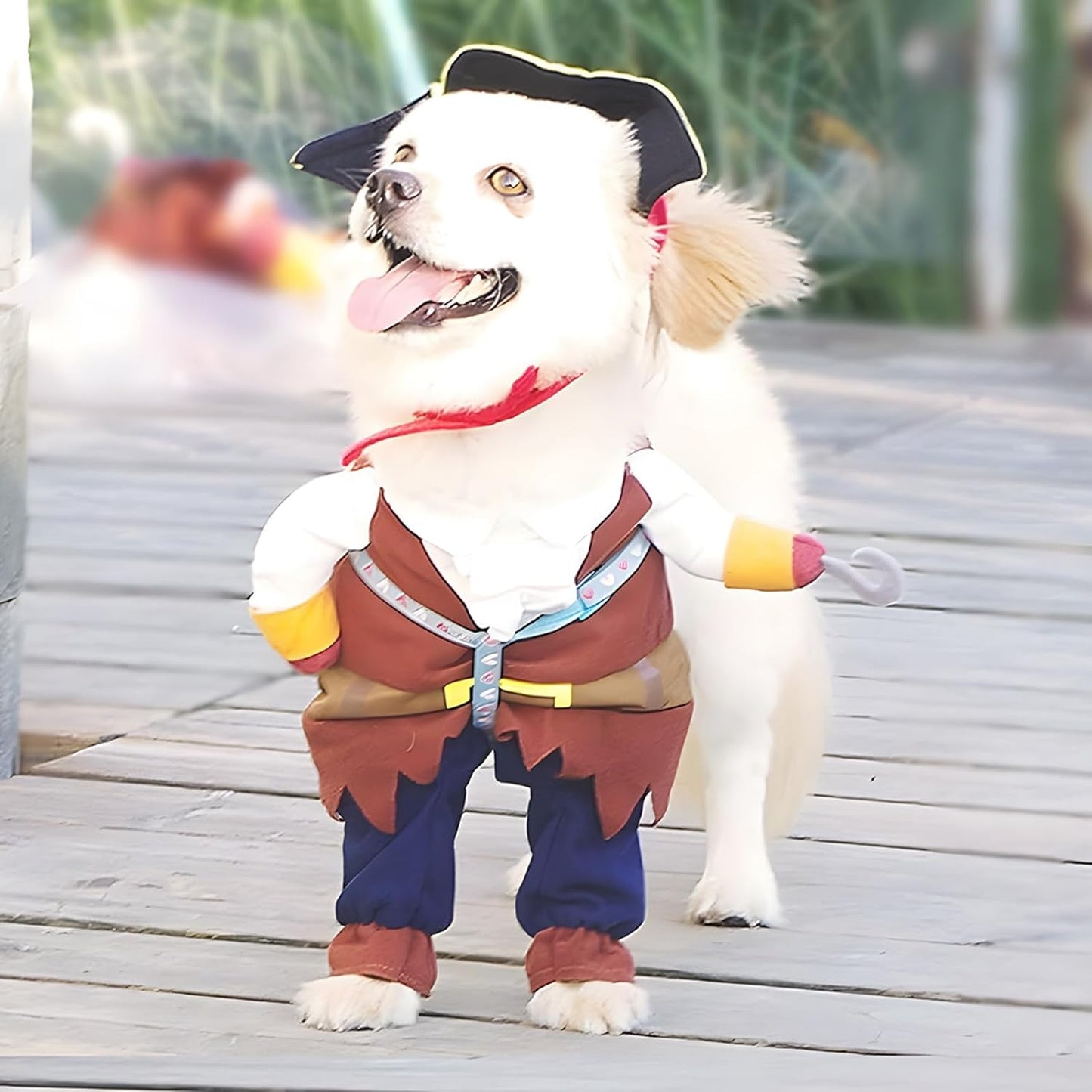 Pet Dog Costume Pirates of the Caribbean Style (Medium)