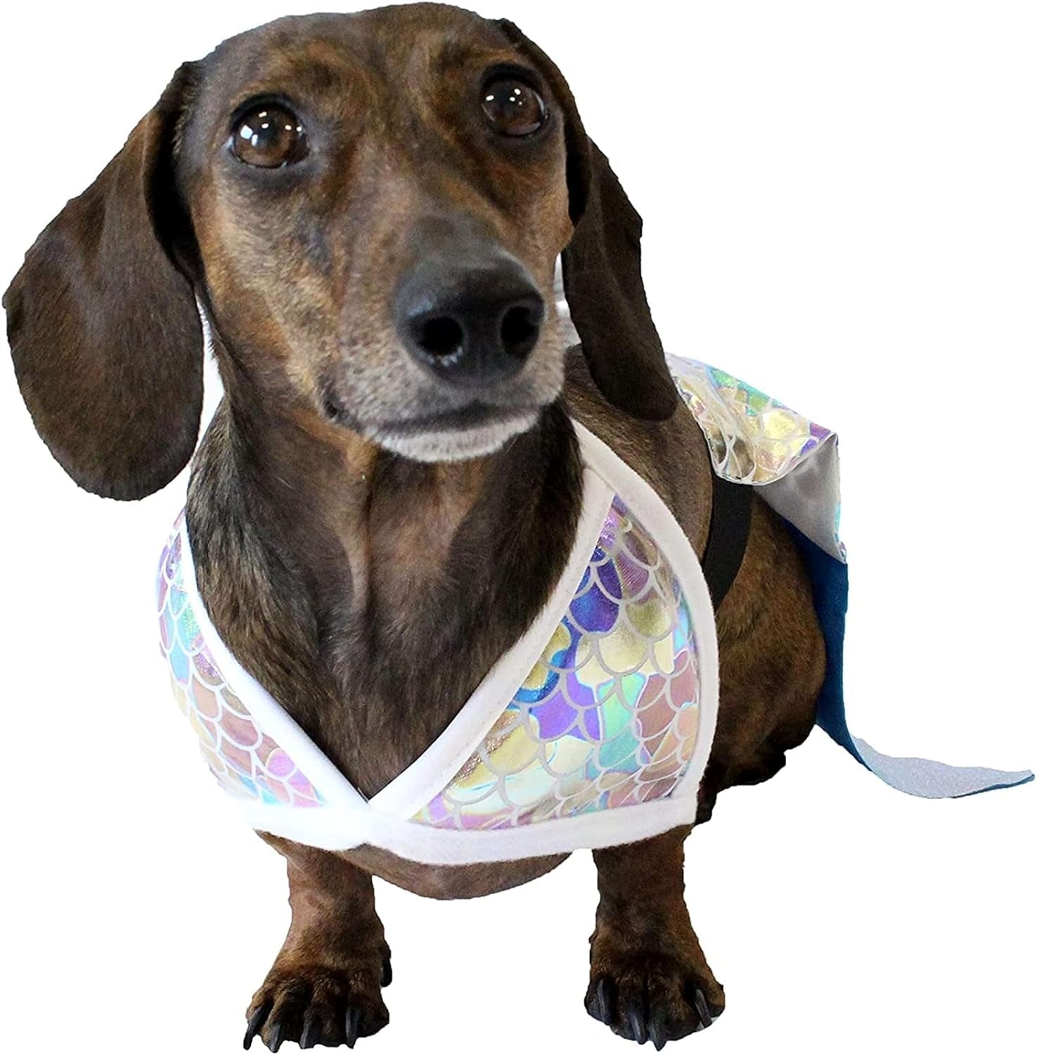 Mermaid Dog Halloween Costume (Xx-Large)