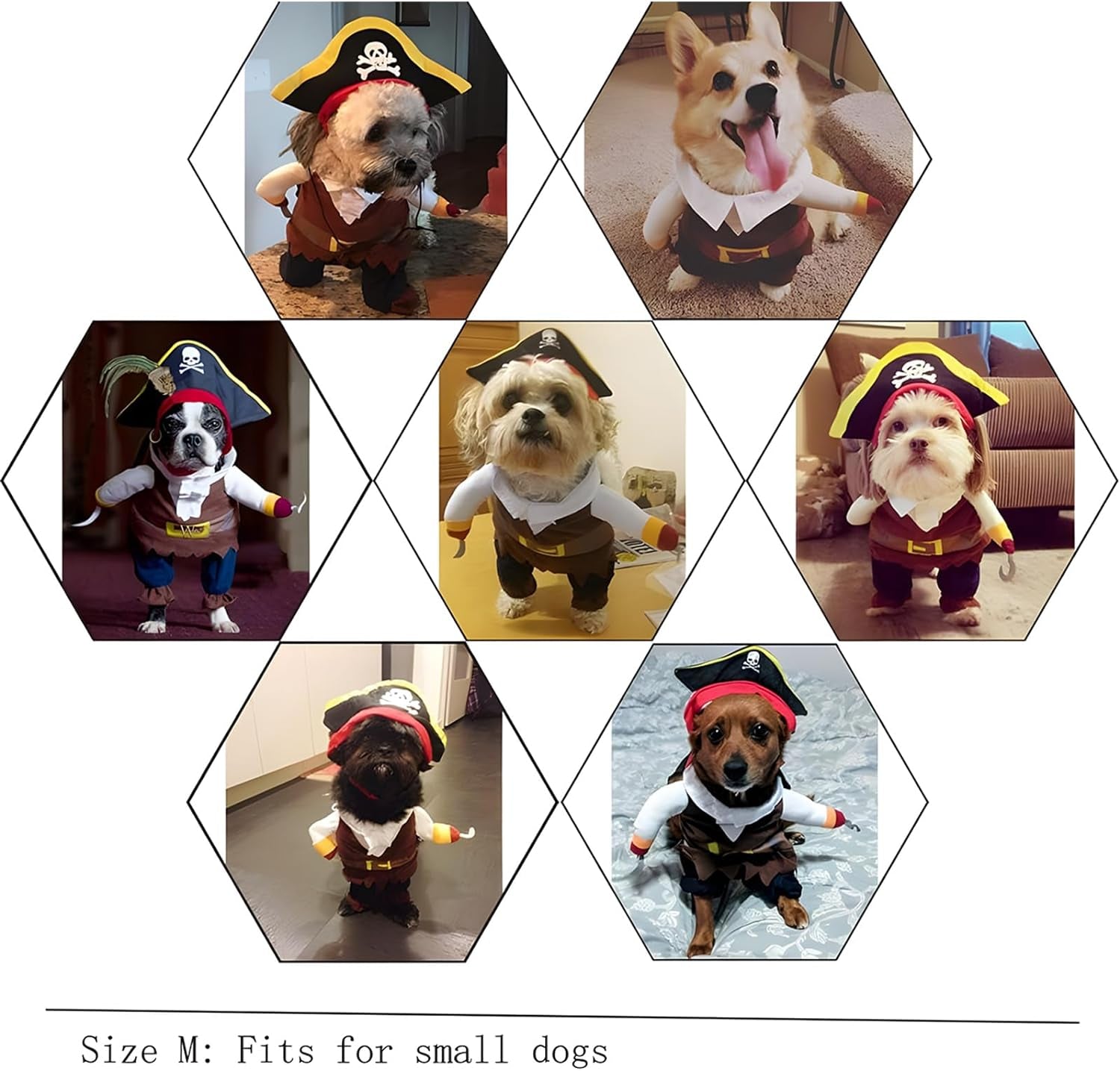 Pet Dog Costume Pirates of the Caribbean Style (Medium)