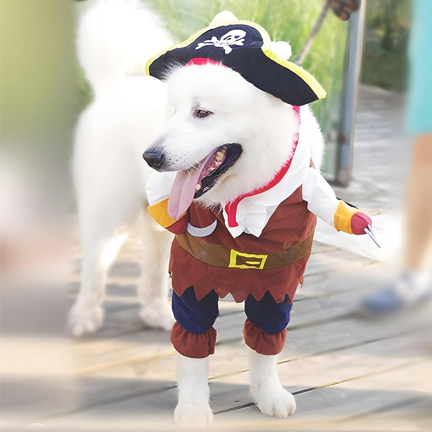 Pet Dog Costume Pirates of the Caribbean Style (Medium)