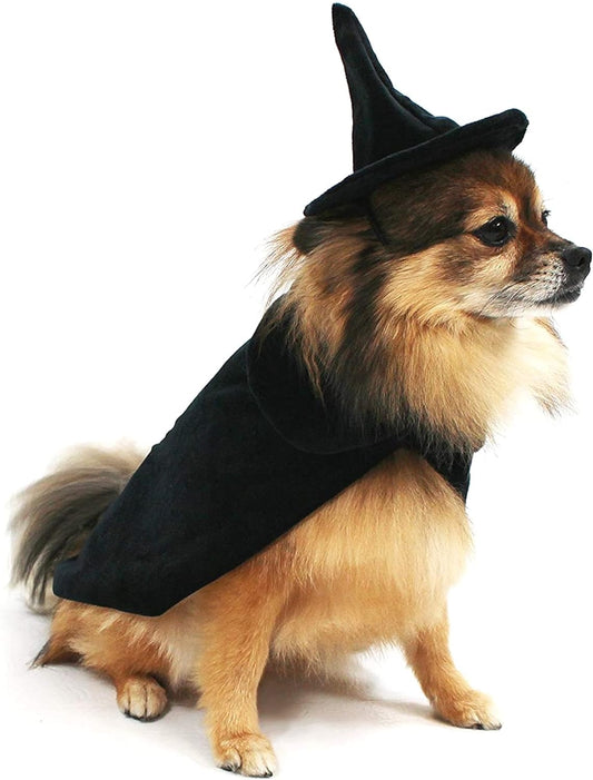 Halloween Witch Cape and Hat Dog Costume (Medium)