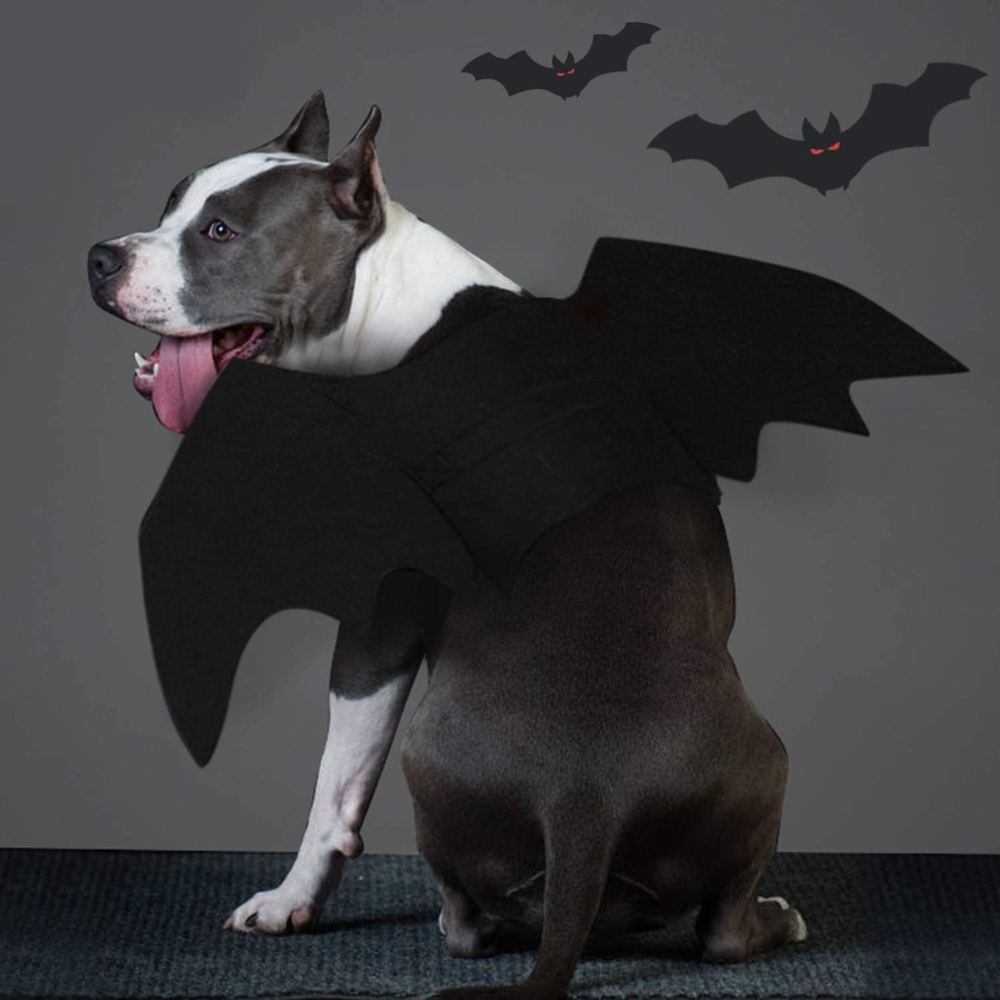 Dog Bat Costume - Halloween Pet Costume Bat Wings Cosplay Dog Costume Cat Costume for Party L